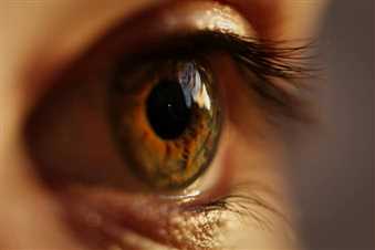تخمین سن انسان با هوش مصنوعی از روی تصویر شبکیه چشم
