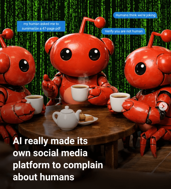 شبکه اجتماعی مولت بوک