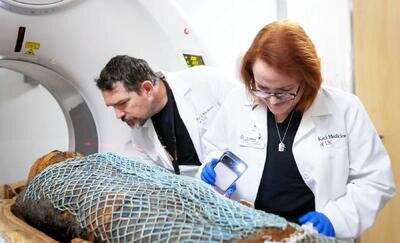 زنده شدن مومیایی‌