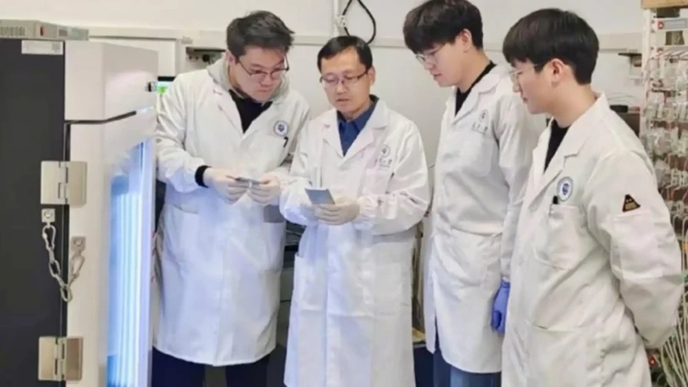 باتری پلاستیکی  را می‌توان خم کرد