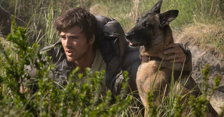 پوستر فیلم The Dog Stars با بازی جیکوب الوردی و جاش برولین.