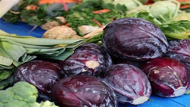 خواص کلم قرمز