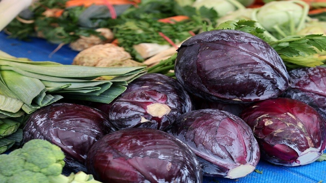 خواص کلم قرمز