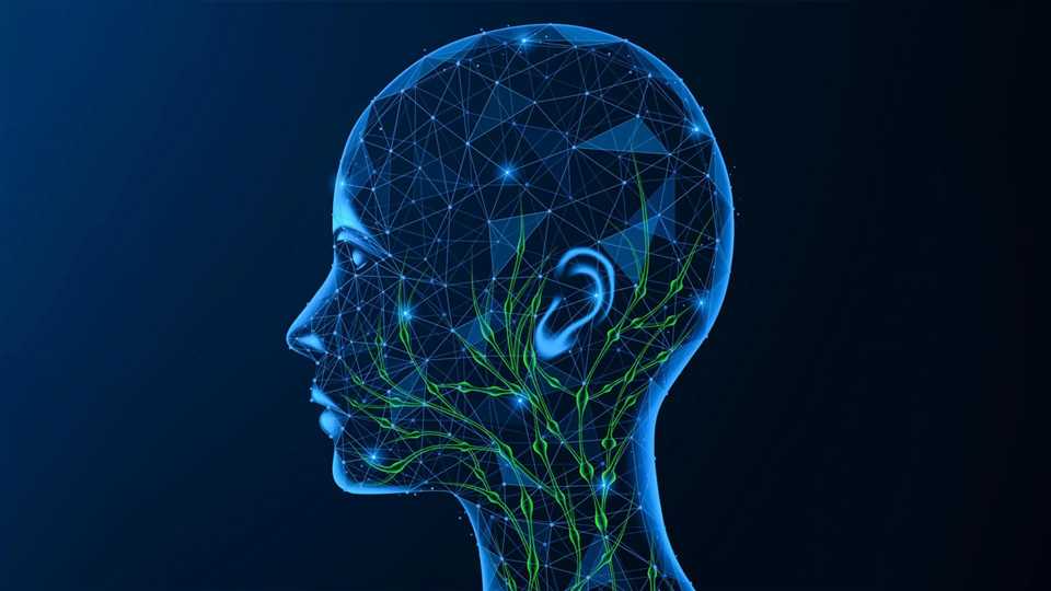 نقش سیستم ایمنی و غدد لنفاوی در آسیب مغزی مرتبط با آلزایمر