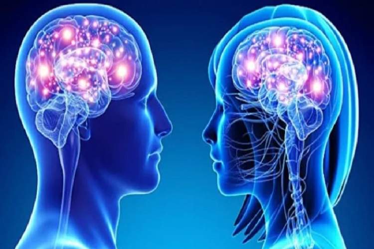 تفاوت مغز در زنان و مردان