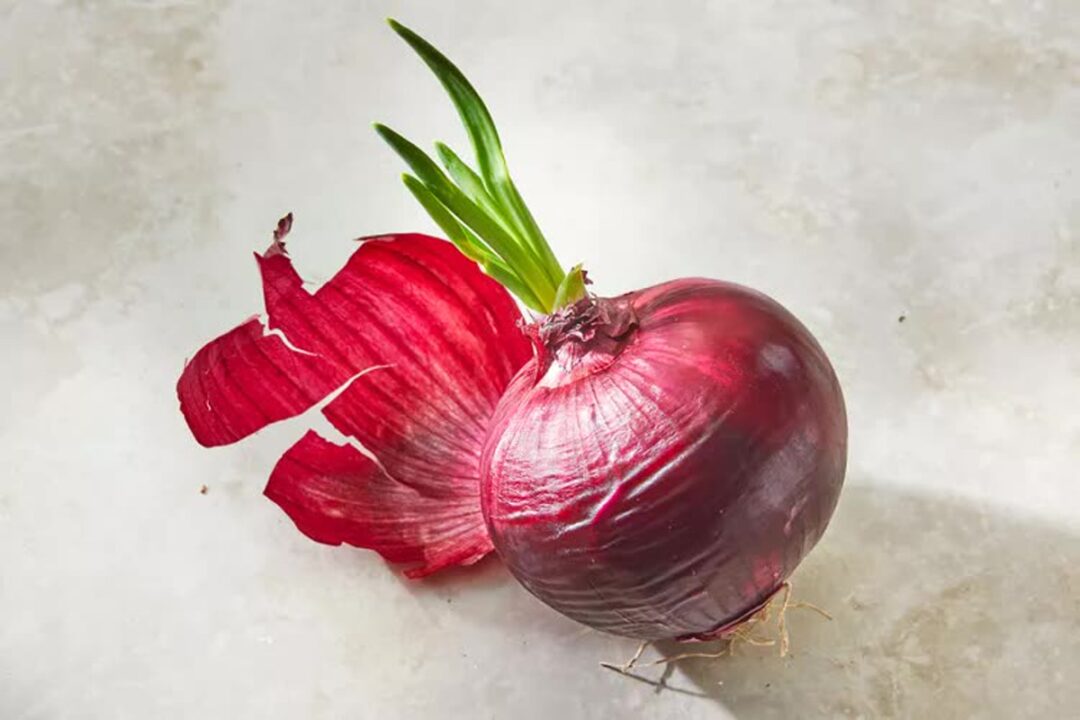 پیاز جوانه‌زده