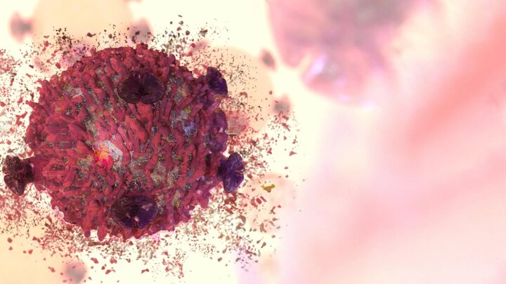 گیاه ضدسرطان