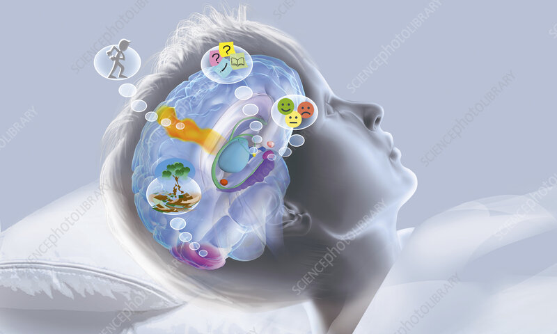 دستاورد جدید استارتاپ‌های پیشرو در حوزه علوم اعصاب؛ تزریق خواب به مغز با یک  لالایی مدرن!