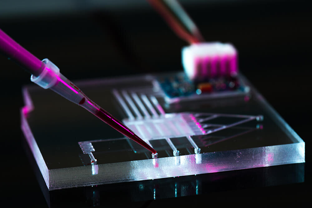 تشخیص حمله قلبی و سرطان کبد با هوش مصنوعی