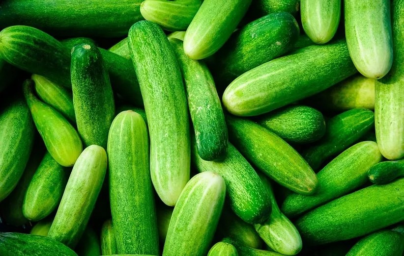 مصرف خیار به کاهش قند خون کمک می‌کند