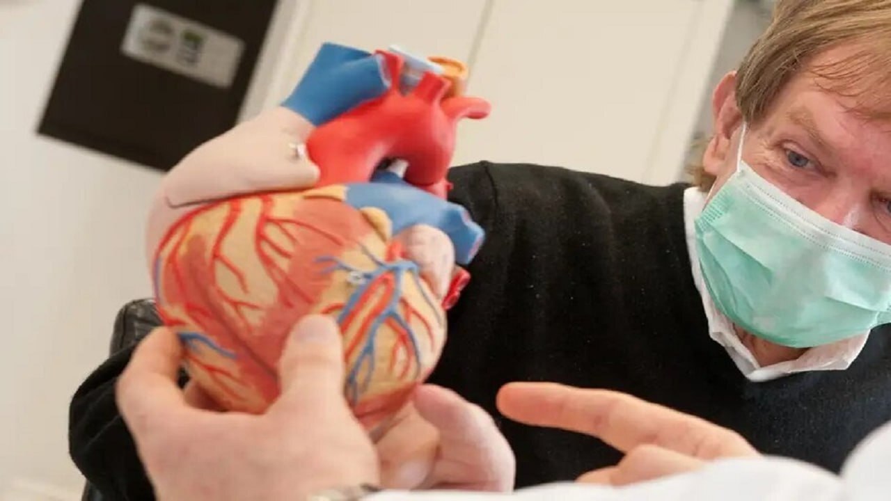 اعضای بدن انسان - قلب