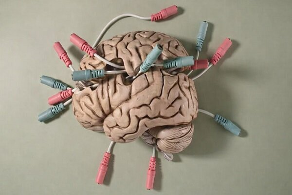 دوپامین در مغز