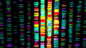 دی‌ان‌ای زائد