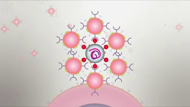 اسفنجی که خونریزی را بند می‌آورد