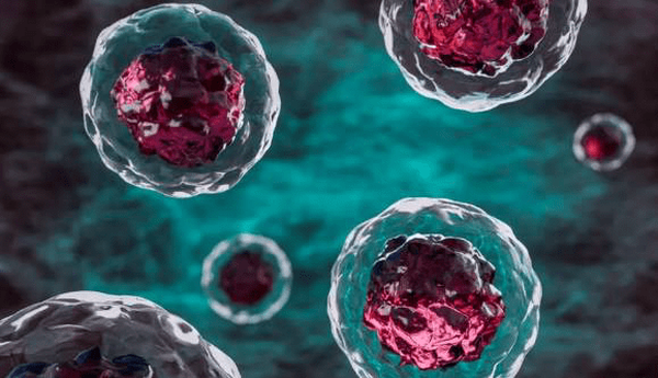 ساخت دارو نقطه زن