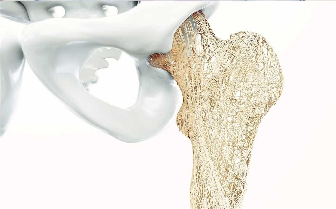 این کشف نویددهنده راهی تازه برای درمان پوکی استخوان است