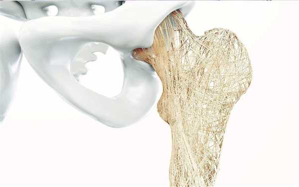 این کشف نویددهنده راهی تازه برای درمان پوکی استخوان است