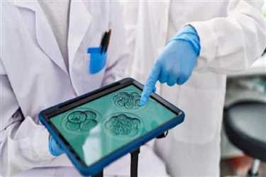 بارداری با روش آی وی اف