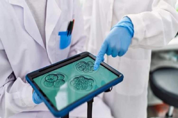 بارداری با روش آی وی اف