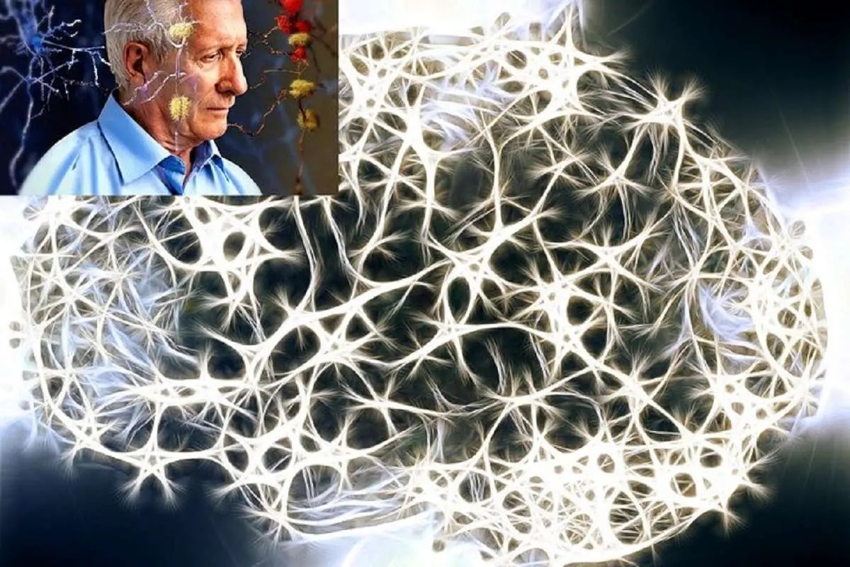 «ترافیک پروتئین» عامل اصلی زوال عقل و آلزایمر