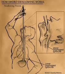 نمایش بلعیدن شمشیر و کمک به  درک بهتر آناتومی مری و معده، کنترل عضلات حلق و مسیر بلع و توسعه ابزارهای تشخیصی مانند اندوسکوپ هدایت کرده است.