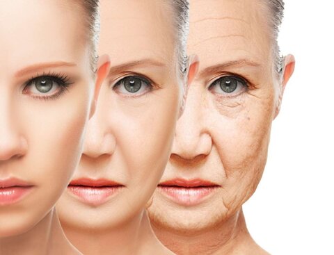 جوانسازی سلولی