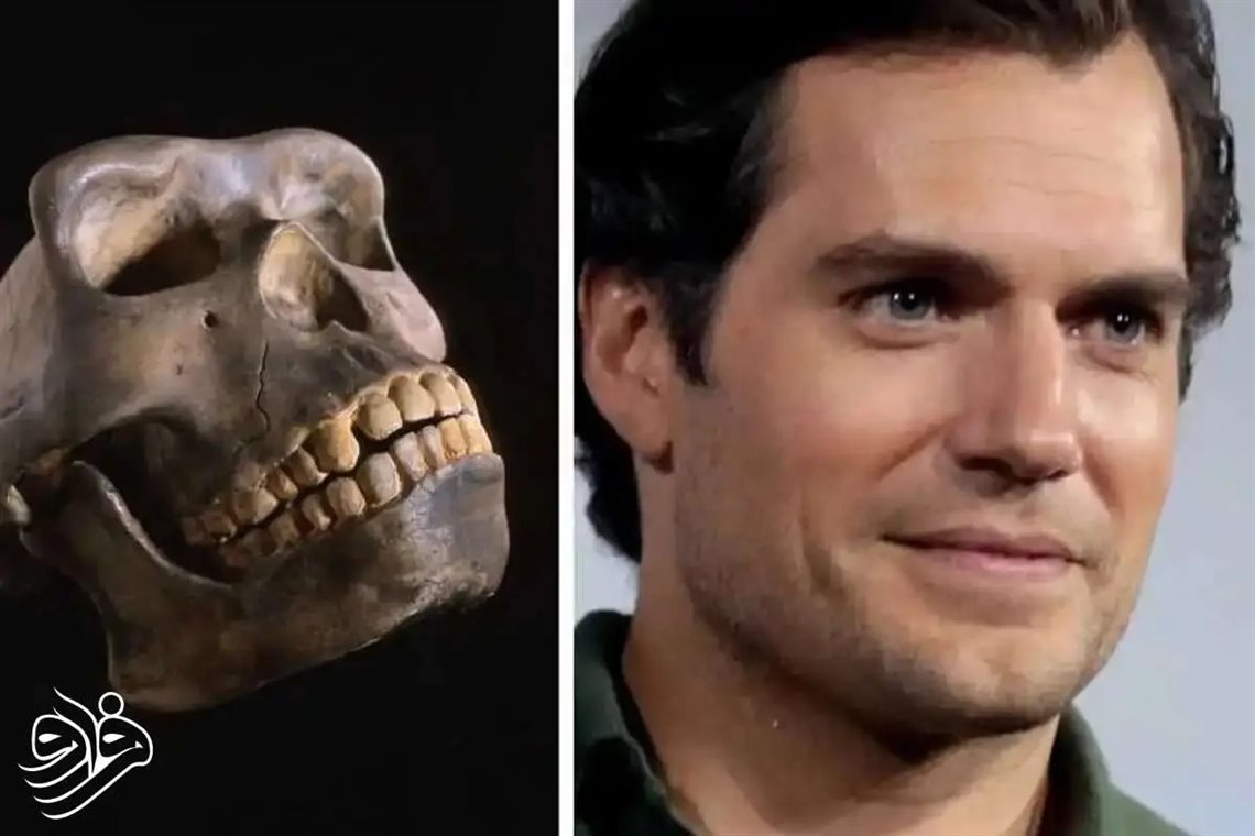 چانه‌ ظاهراً یکی از عادی‌ترین اجزای صورت ماست، اما در واقع یکی از اسرارآمیزترین ویژگی‌های تکاملی در میان تمام گونه‌های روی زمین است.