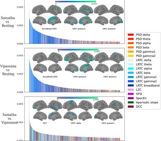 مدیتیشن و مغز