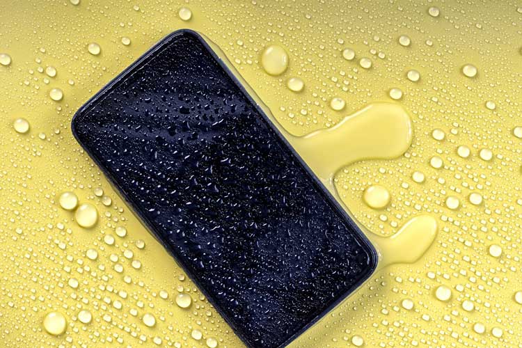 رتبه‌بندی IP چیست