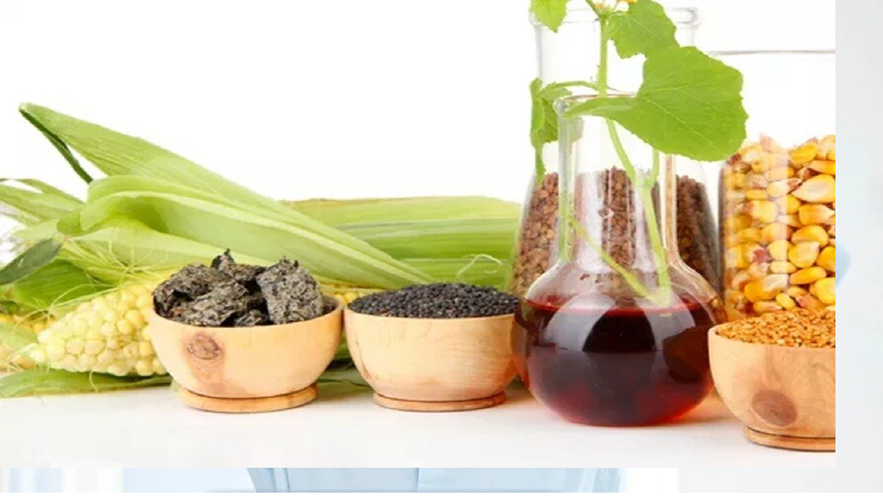 ابداع یک سوخت موتور با روغن بادام زمینی