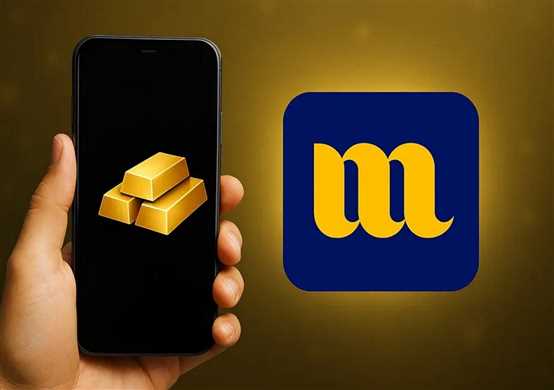 صفحه وضعیت تسویه کاربران پلتفرم میلی گلد
