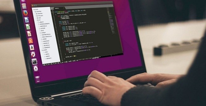باگ کرنل لینوکس
