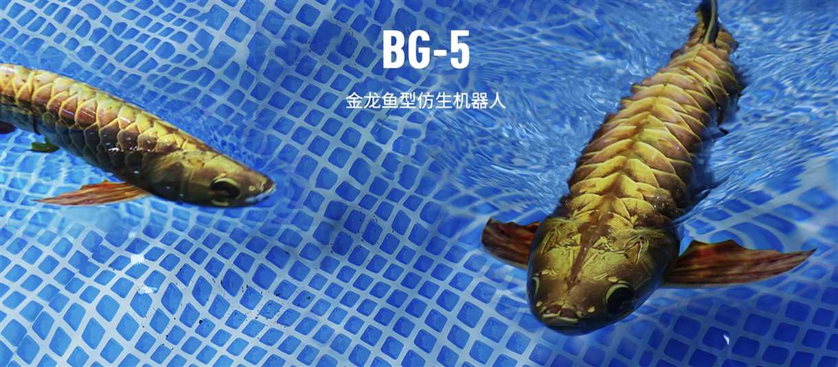 ربات ماهی‌شکل BG-5 چین در حال حرکت زیر آب