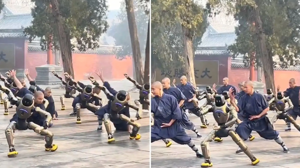 ربات کونگ فو کار