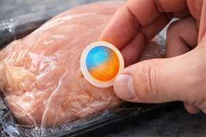 تشخیص گوشت فاسد