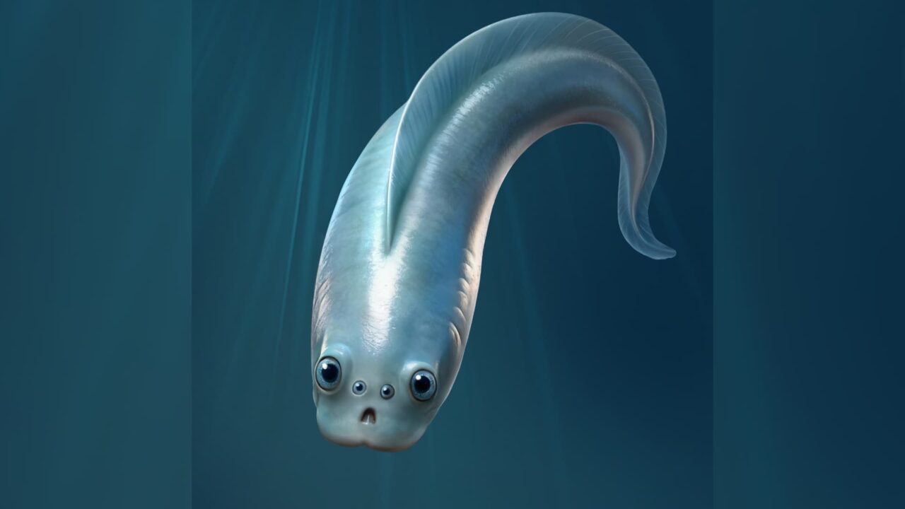 نیاکان ما ۴ چشم داشتند