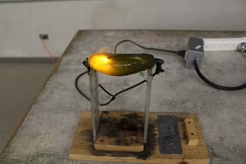 درخشش خیارشور در آزمایش الکتروشیمیایی