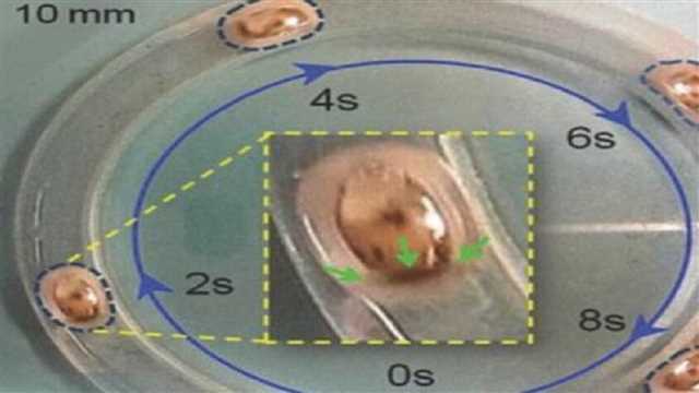 قطره فلز مایع
