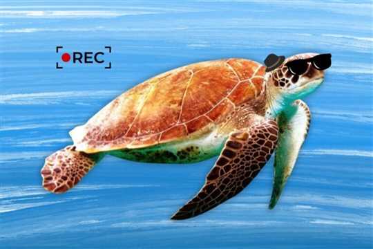 جاسوسی با حیوانات