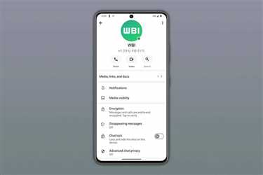 واتس‌اپ قابلیت نمایش وضعیت آنلاین و انیمیشن‌های جدید پیام را اضافه کرد