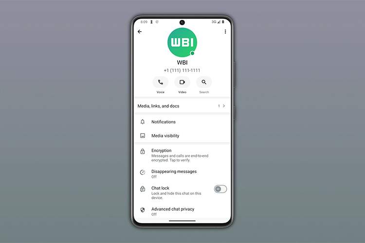 واتس‌اپ قابلیت نمایش وضعیت آنلاین و انیمیشن‌های جدید پیام را اضافه کرد
