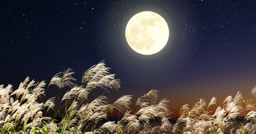 کاشت برنج در خاک ماه توسط ژاپنی‌ها