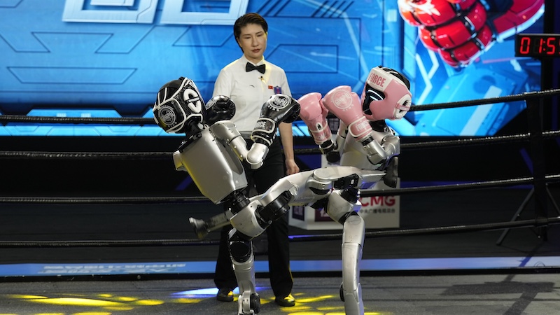 ربات رزمی کار