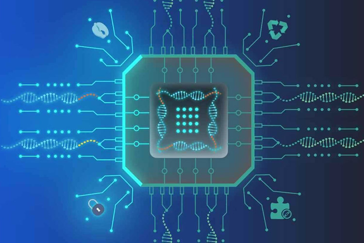 ذخیره‌سازی مبتنی بر DNA