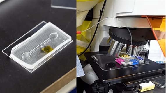 محققان از ساخت تراشه‌ای جدید خبر داده‌اند که مواد شیمیایی ماندگار و سمی را به‌سرعت از آب‌وخاک استخراج می‌کند.