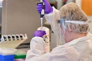 هیدروژل هوشمند مبتنی بر DNA و پروتئین