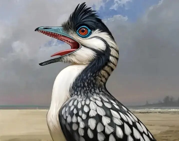 آرکئوپتریکس