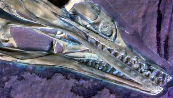 آرکئوپتریکس